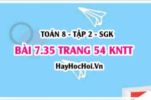 Bài 7.35 trang 54 Toán 8 Tập 2 Kết nối tri thức: Giao điểm và sự vuông góc của hai đường thẳng